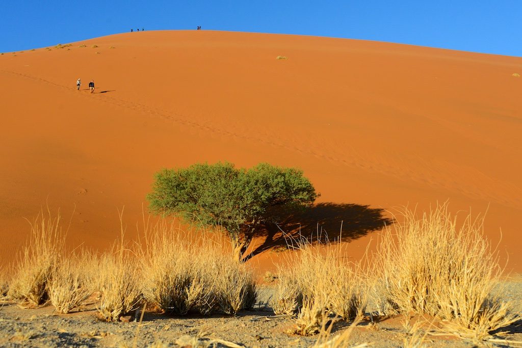 Dune 45 Namibië