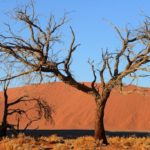 Dune-45-Namibië07-1024×683