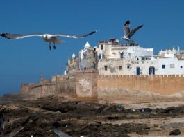 Uitwaaien in Essaouira Essaouira Marokko