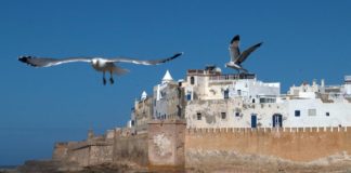 Beste reistijd voor Marokko – een maand-tot-maand gids Essaouira Marokko