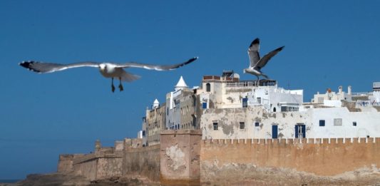 Uitwaaien in Essaouira Essaouira Marokko