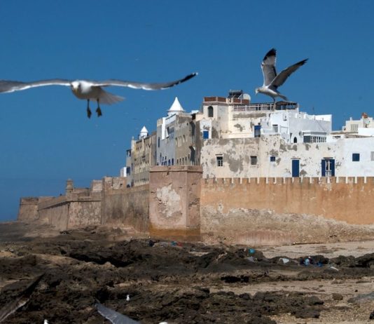 Uitwaaien in Essaouira Essaouira Marokko