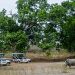 Fathala Wildlife Reserve Senegal