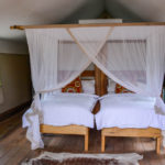 Fathala Wildlife Reserve Senegal