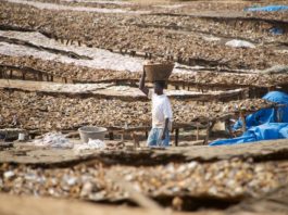 Relaxen in Kafountine Kafountine Casamance Senegal