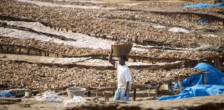 Relaxen in Kafountine Kafountine Casamance Senegal