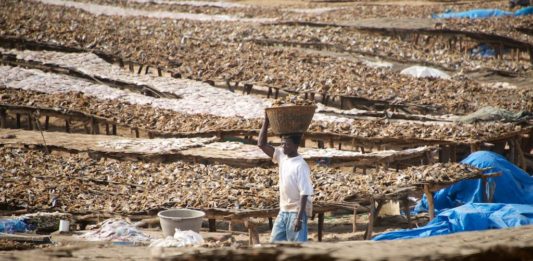 Relaxen in Kafountine Kafountine Casamance Senegal