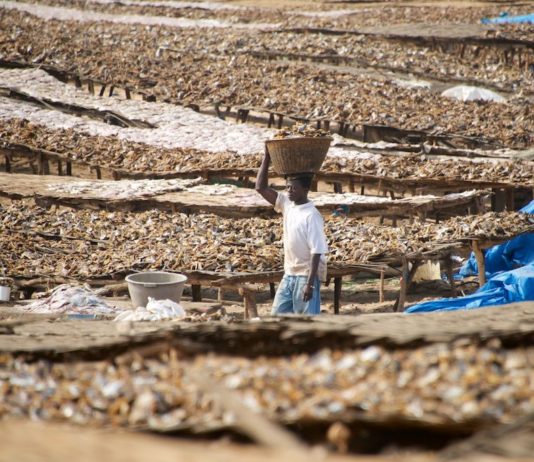 Relaxen in Kafountine Kafountine Casamance Senegal