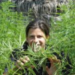 Cannabis marihuana Karone Boune Casamance Senegal