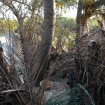 Karone Boune Casamance Senegal