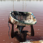Lac Rose Senegal