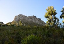 Beklim Lion’s Head Rock in Kaapstad Lion's Head Rock Kaapstad