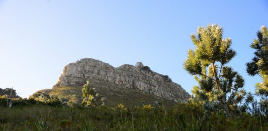Beklim Lion’s Head Rock in Kaapstad Lion's Head Rock Kaapstad
