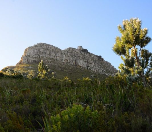 Beklim Lion’s Head Rock in Kaapstad Lion's Head Rock Kaapstad
