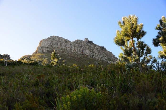 Lion's Head Rock Kaapstad