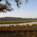 Mana Pools Zimbabwe