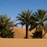 Merzouga-Marokko-01
