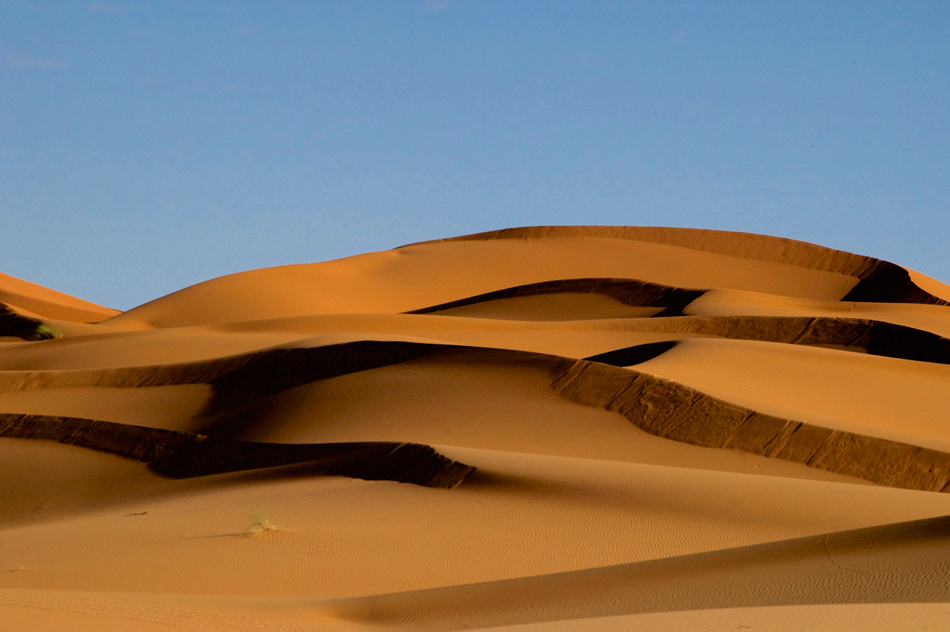 Woestijn duinen Merzouga Marokko