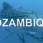 Mozambique