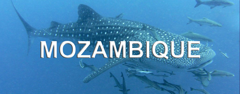 Mozambique