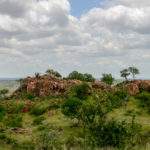Nationaal park Mapungubwe in Zuid Afrika