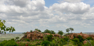 Woeste natuur van nationaal park Mapungubwe Nationaal park Mapungubwe in Zuid Afrika