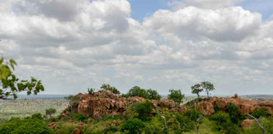Woeste natuur van nationaal park Mapungubwe Nationaal park Mapungubwe in Zuid Afrika