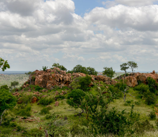 Woeste natuur van nationaal park Mapungubwe Nationaal park Mapungubwe in Zuid Afrika