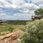 Nationaal park Mapungubwe in Zuid Afrika