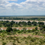 Nationaal park Mapungubwe in Zuid Afrika