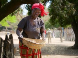 De Casamance Niafarang Senegal