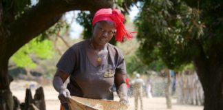 De Casamance Niafarang Senegal