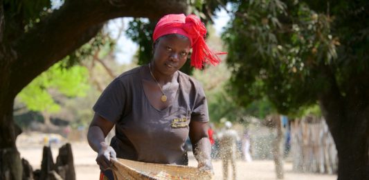 De Casamance Niafarang Senegal