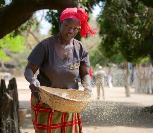 De Casamance Niafarang Senegal
