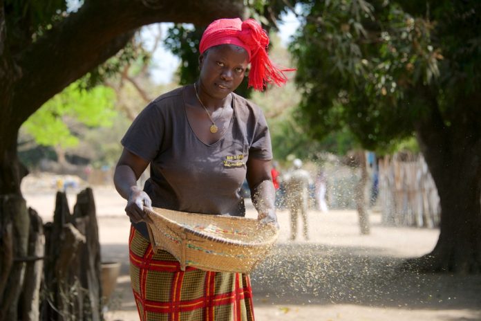 Niafarang Senegal