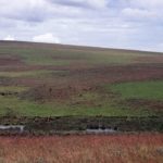 Nyika Plateau Malawi