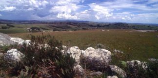 Het koele Nyika Plateau is een onontdekt juweeltje Nyika Plateau Malawi