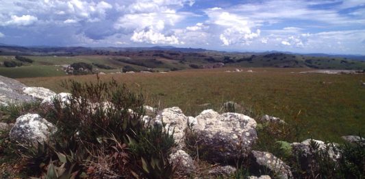 Het koele Nyika Plateau is een onontdekt juweeltje Nyika Plateau Malawi