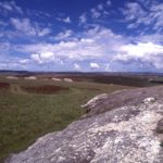 Nyika Plateau Malawi