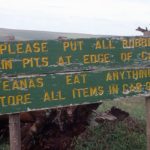 Nyika Plateau Malawi