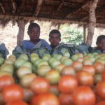 Op de fiets door Malawi
