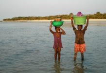 Zeldzame zoutwater nijlpaarden op Orango Ilha Orango Bijagos Guinee-Bisau