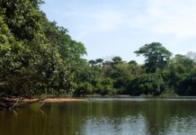 Het afgelegen Outamba-Kilimi park Outamba-Kilimi Sierra Leone