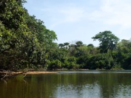 Het afgelegen Outamba-Kilimi park Outamba-Kilimi Sierra Leone