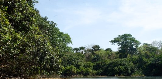 Het afgelegen Outamba-Kilimi park Outamba-Kilimi Sierra Leone