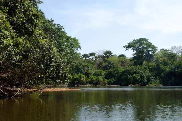 Outamba-Kilimi Sierra Leone