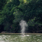 Outamba-Kilimi Sierra Leone