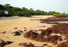 De mooiste stranden van Guinée-Bissau nationaal park Poilao Guinee-Bissau