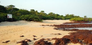 De mooiste stranden van Guinée-Bissau nationaal park Poilao Guinee-Bissau