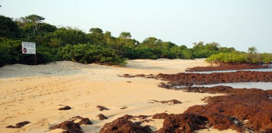 De mooiste stranden van Guinée-Bissau nationaal park Poilao Guinee-Bissau